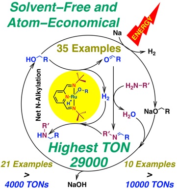 Publication 24